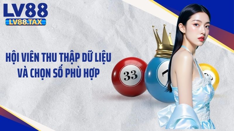 Hội viên thu thập dữ liệu và chọn số phù hợp